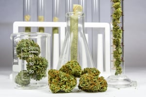 cannabis formulation 