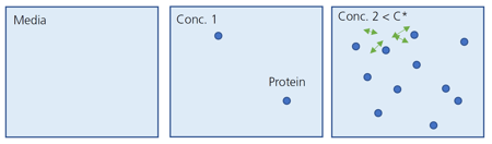 Protein Interaction on Concentration