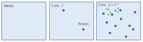 Protein Interaction on Concentration