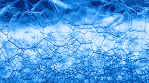 Surfactant