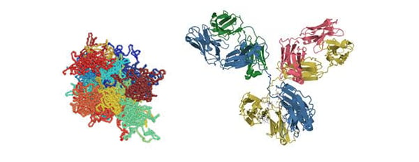 mAb mimics - viscosity 