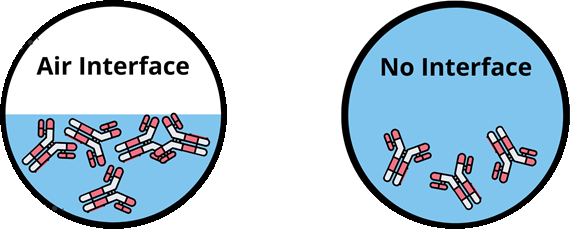 Therapeutic Protein Formulation: Air Interface